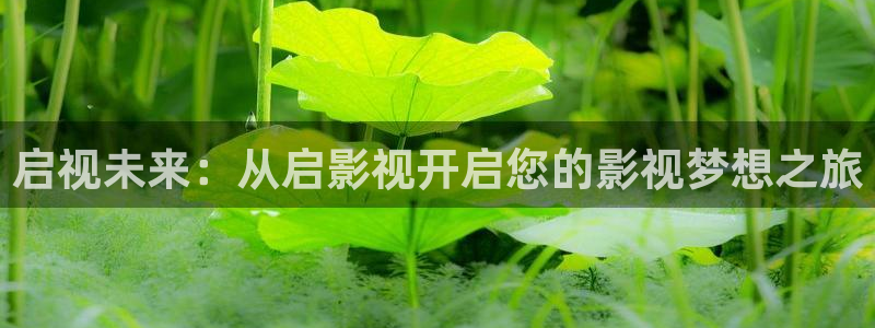 策驰影院免费观看电影电视：启视未来：从启影视开启您的影视梦想之旅