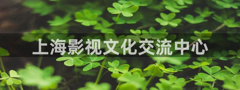 鸣龙少年电视剧免费观看全集策驰影院：上海影视文化交流中心