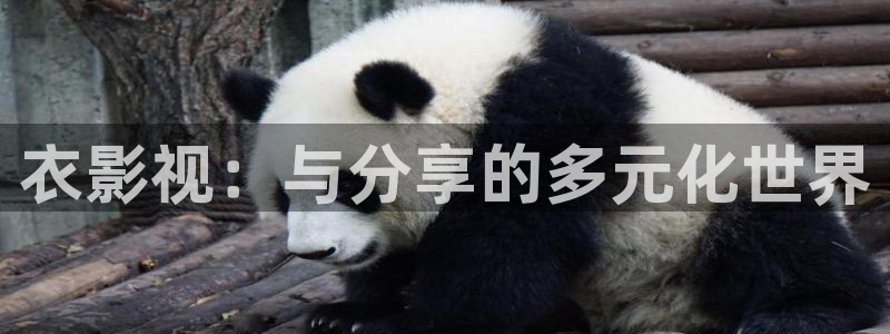 策驰影院在线入口：衣影视：与分享的多元化世界