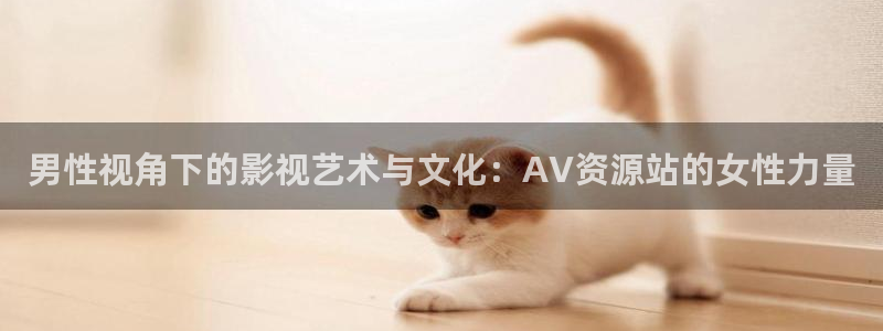 新神榜:杨戬策驰影院：男性视角下的影视艺术与文化：AV资源站的女性力量