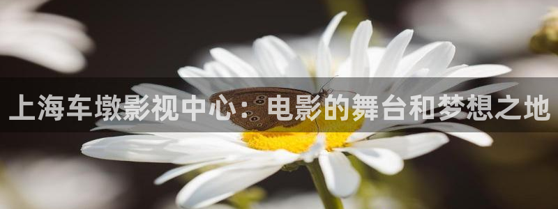 满江红策驰影院：上海车墩影视中心：电影的舞台和梦想之地