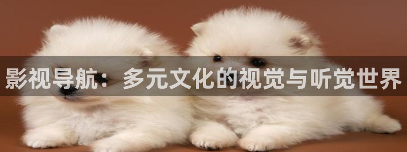 雁回时电视剧策驰影院：影视导航：多元文化的视觉与听觉世界